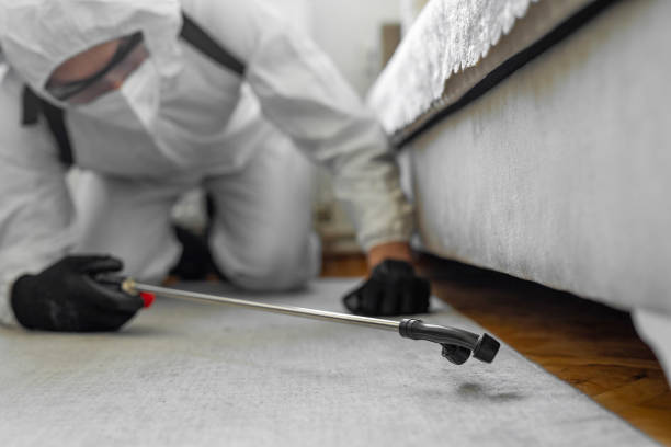Professional Cockroach Control technician working in Emerald Mountain, AL