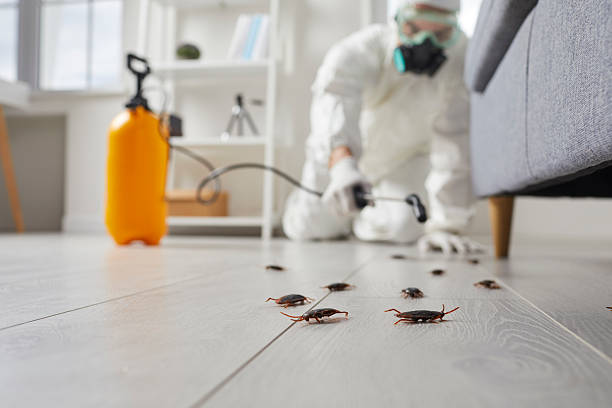 Trusted Cockroach Control service in Emerald Mountain, AL - Nex Pest Control