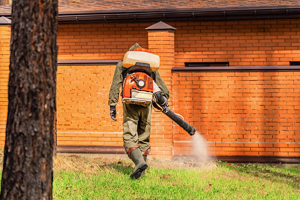 Trusted Bed Bug Control service in Emerald Mountain, AL - Nex Pest Control